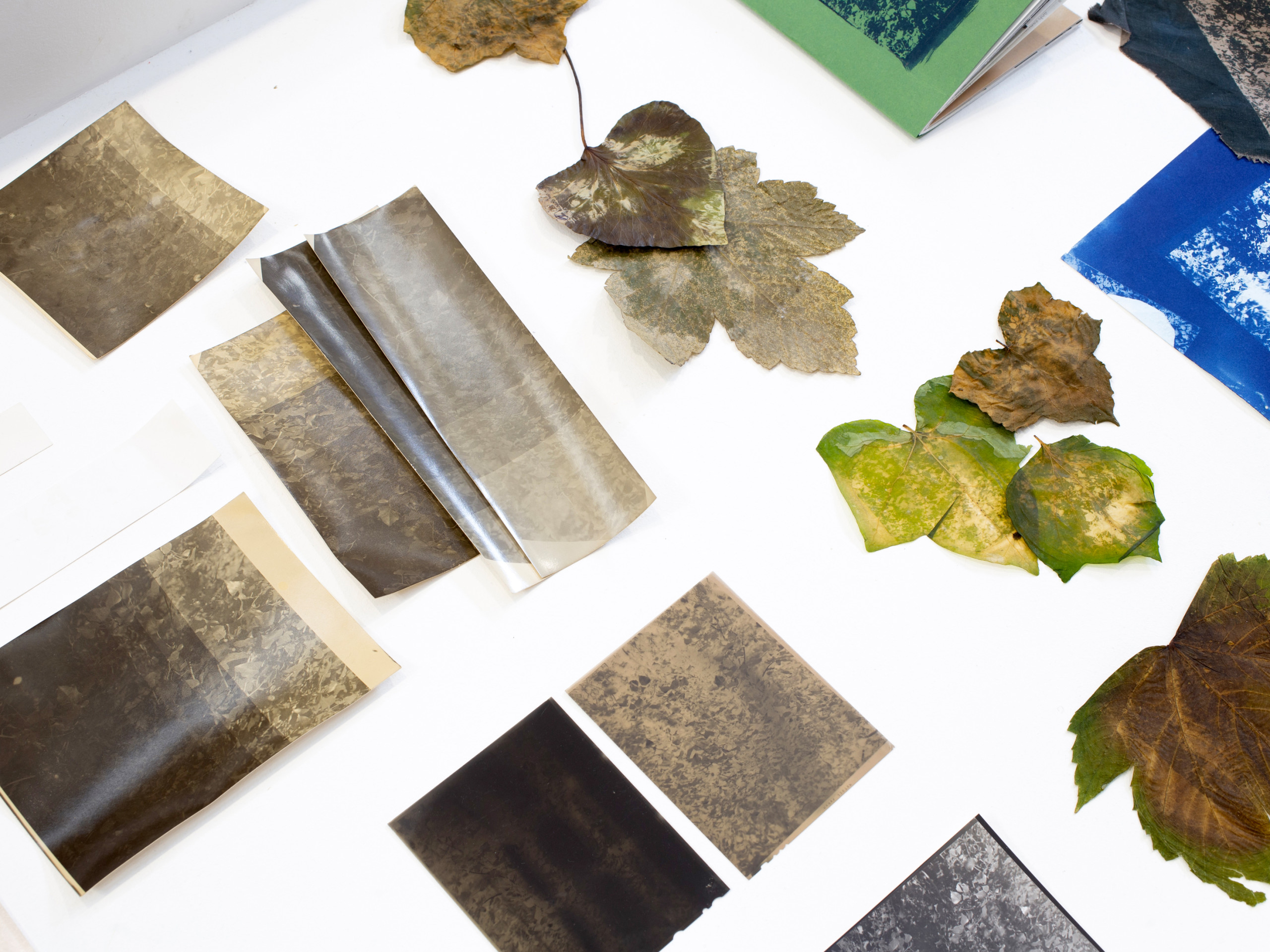 Briguet-Lamarre Mathilde