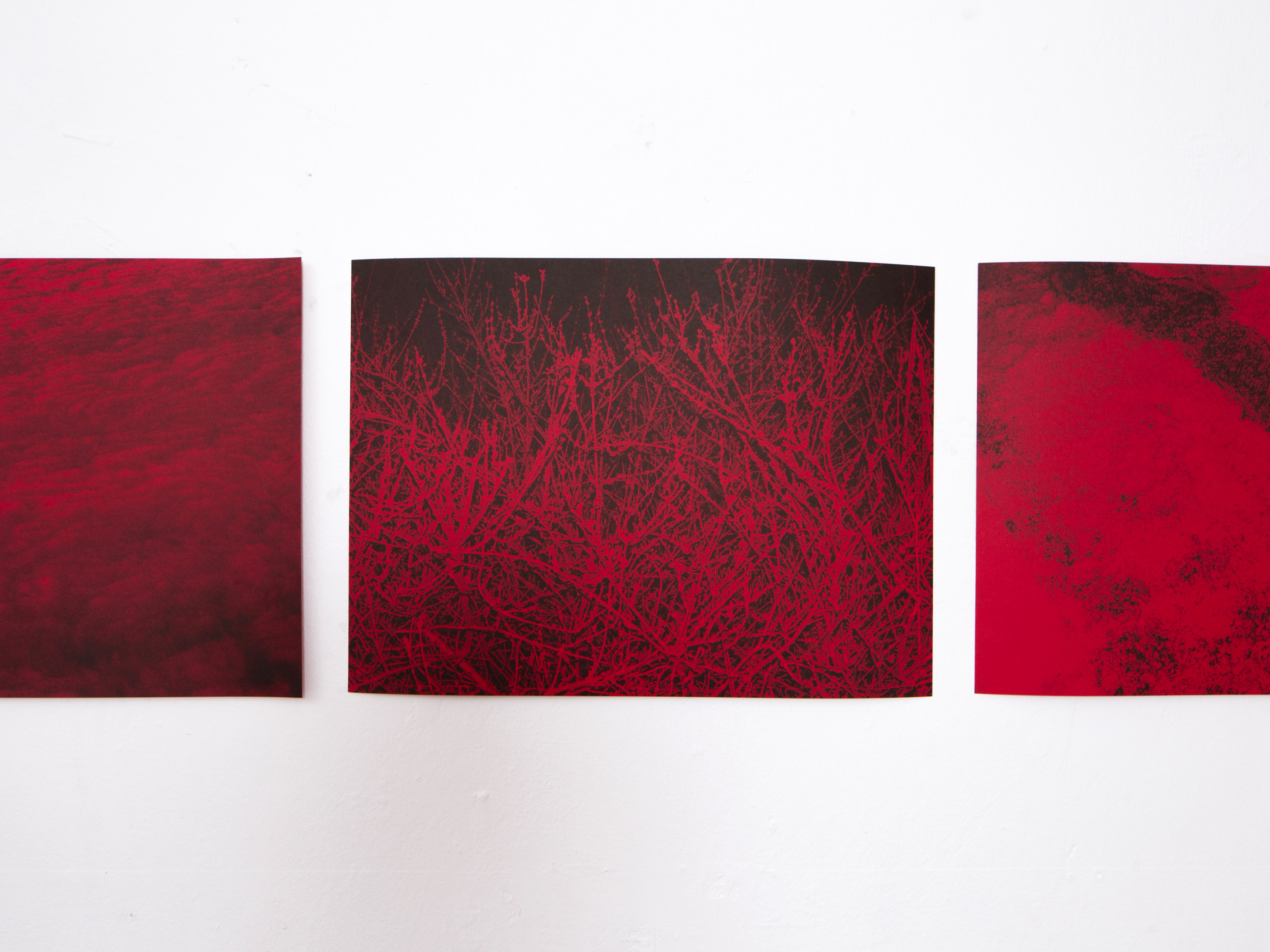 Jayet Besnard Victor