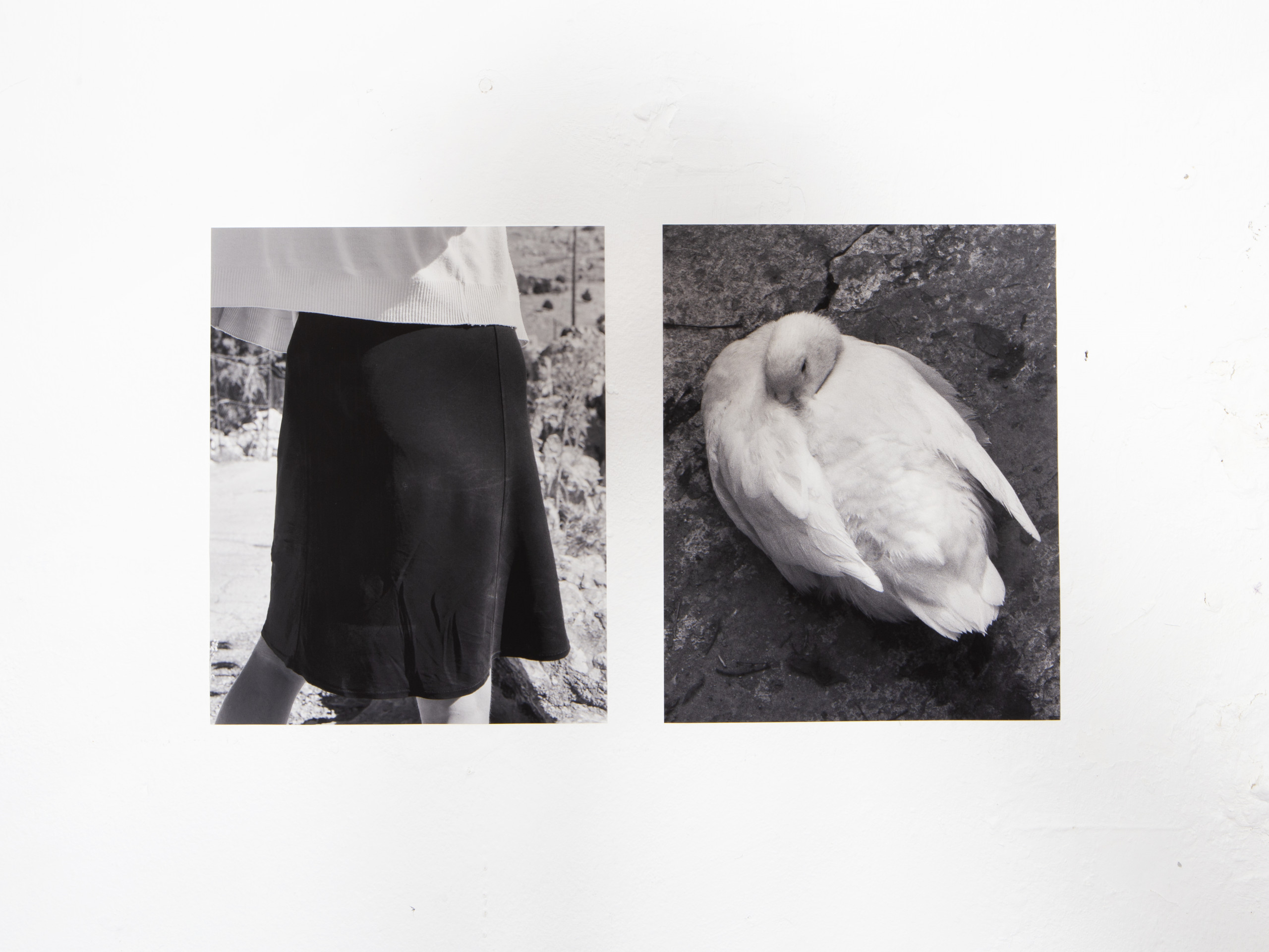 Pauline Arnould