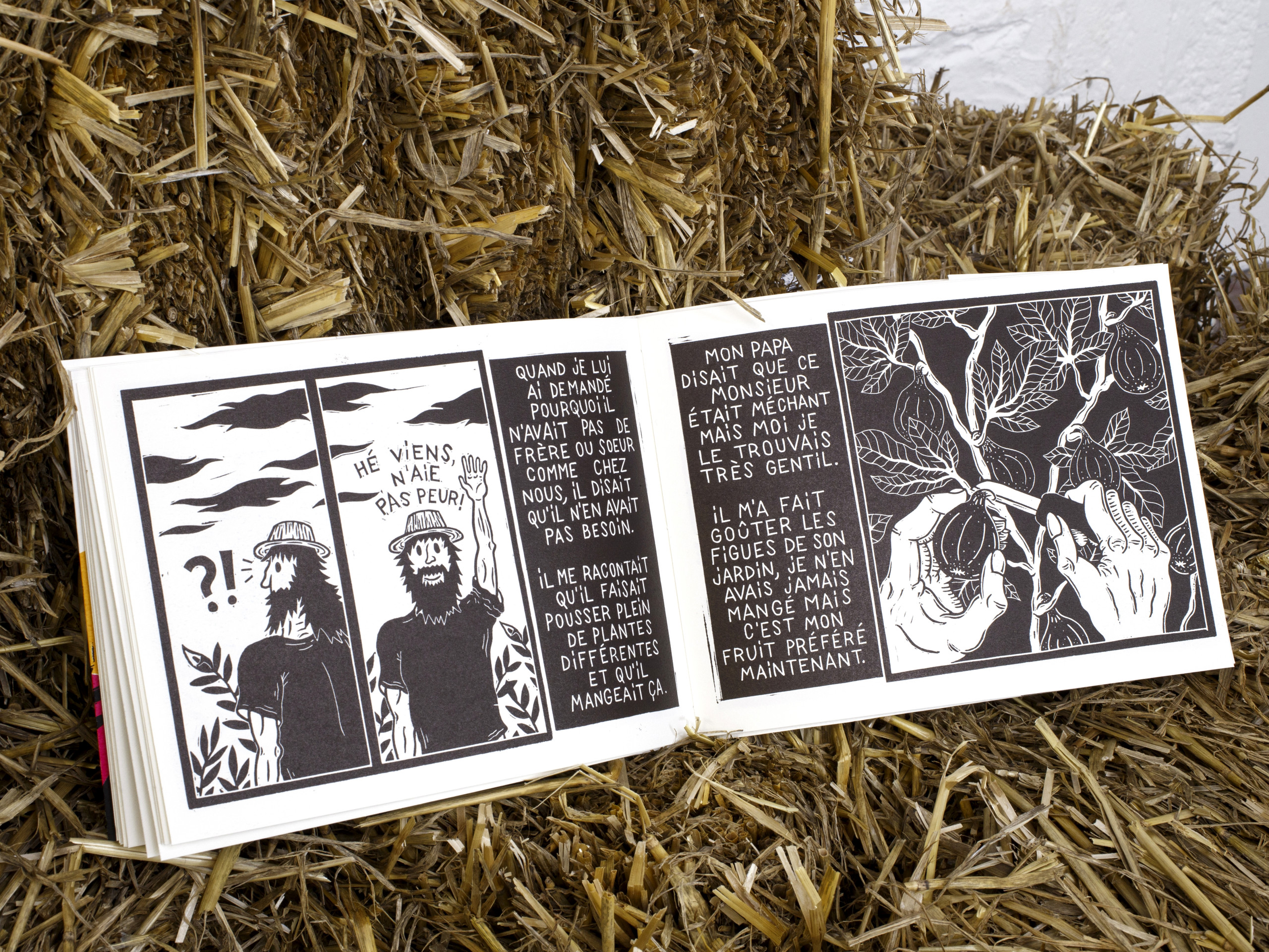 Stevens Darius